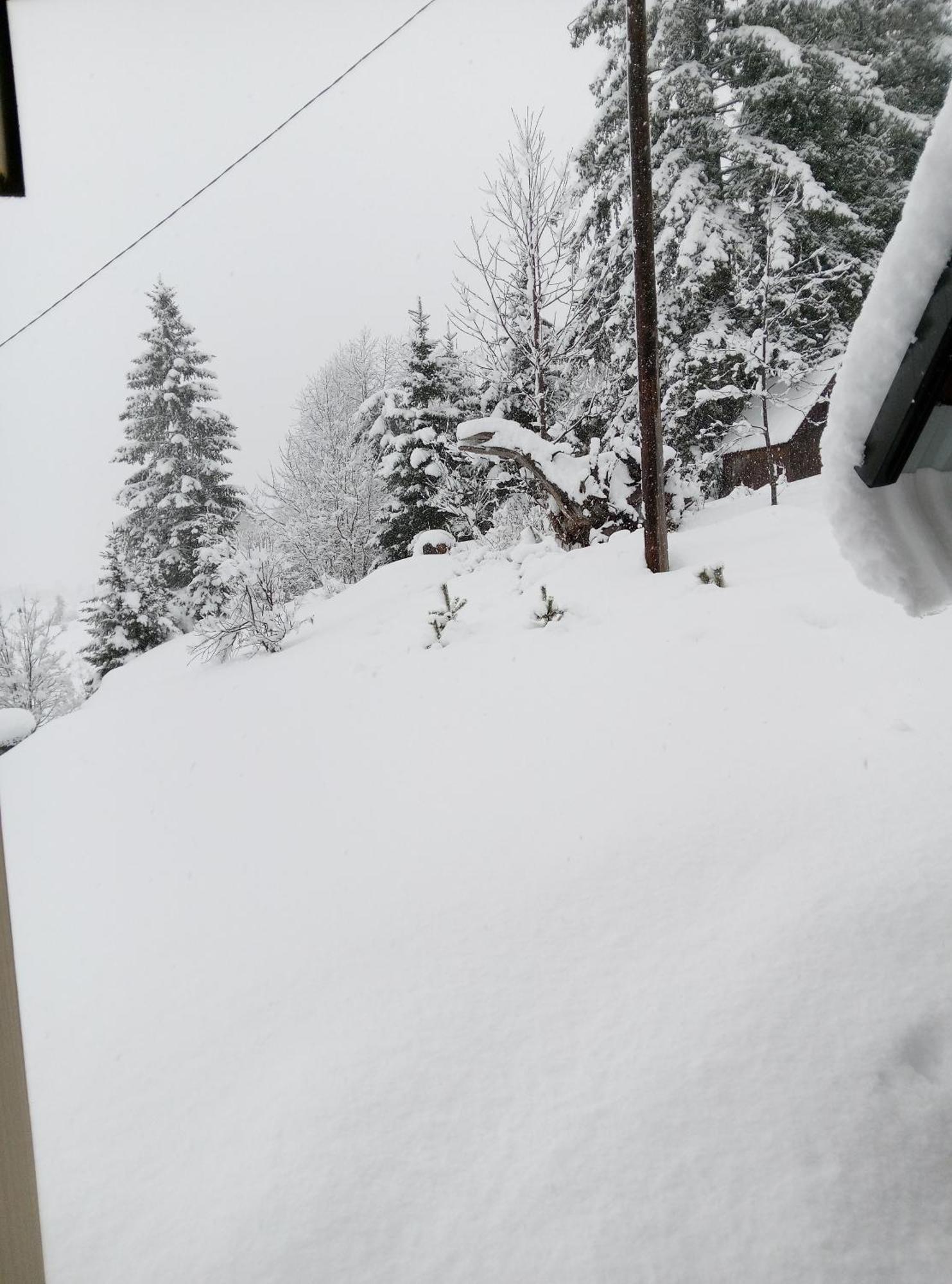 Apartmán Durmitor Žabljak Exteriér fotografie