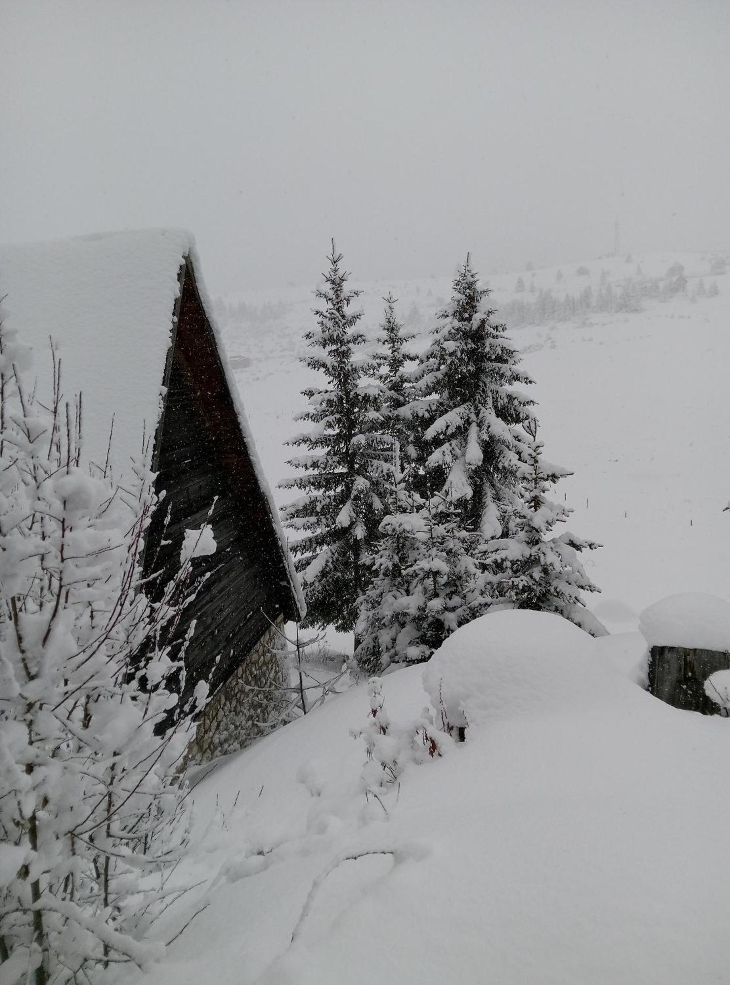 Apartmán Durmitor Žabljak Exteriér fotografie