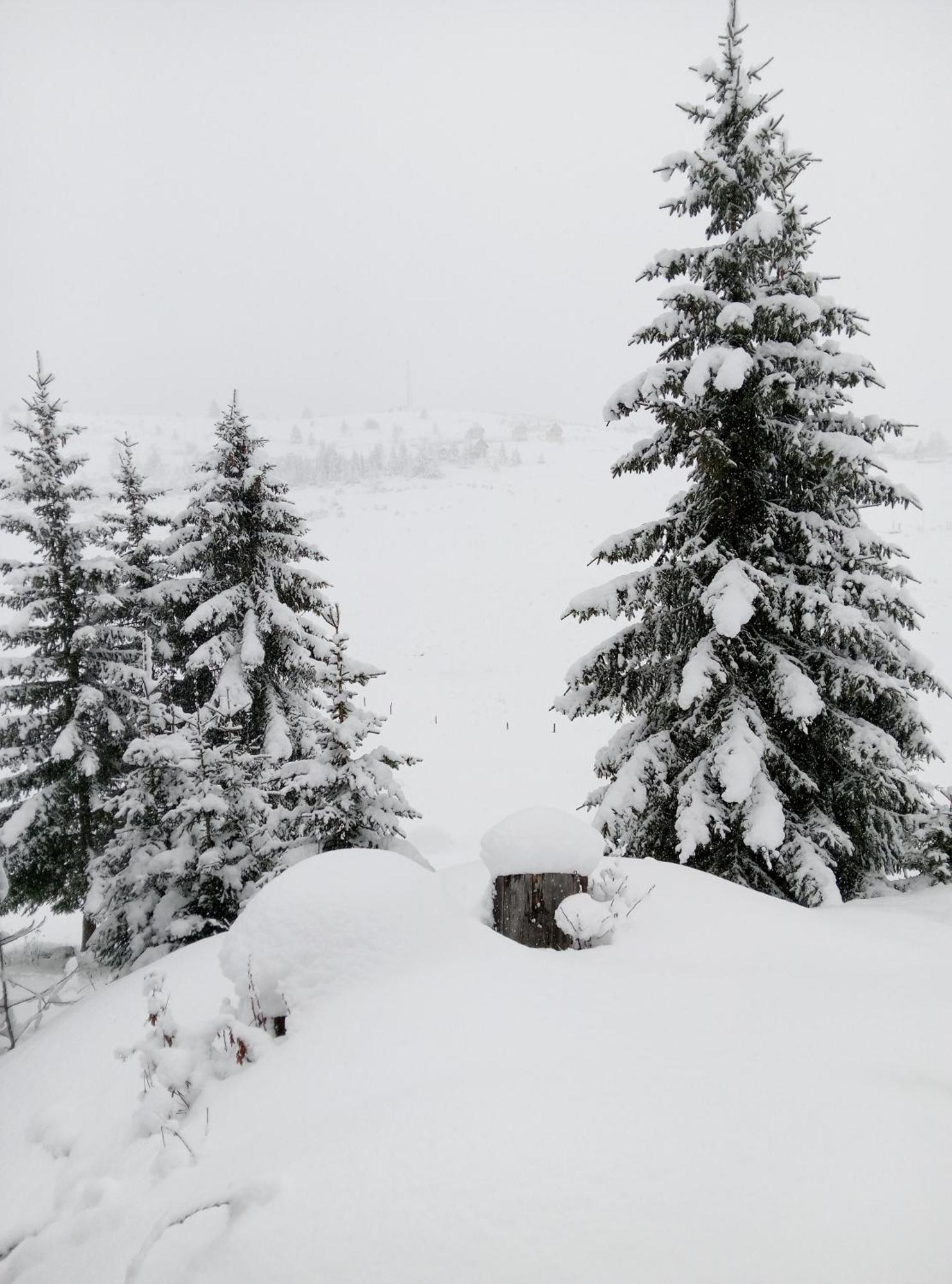 Apartmán Durmitor Žabljak Exteriér fotografie