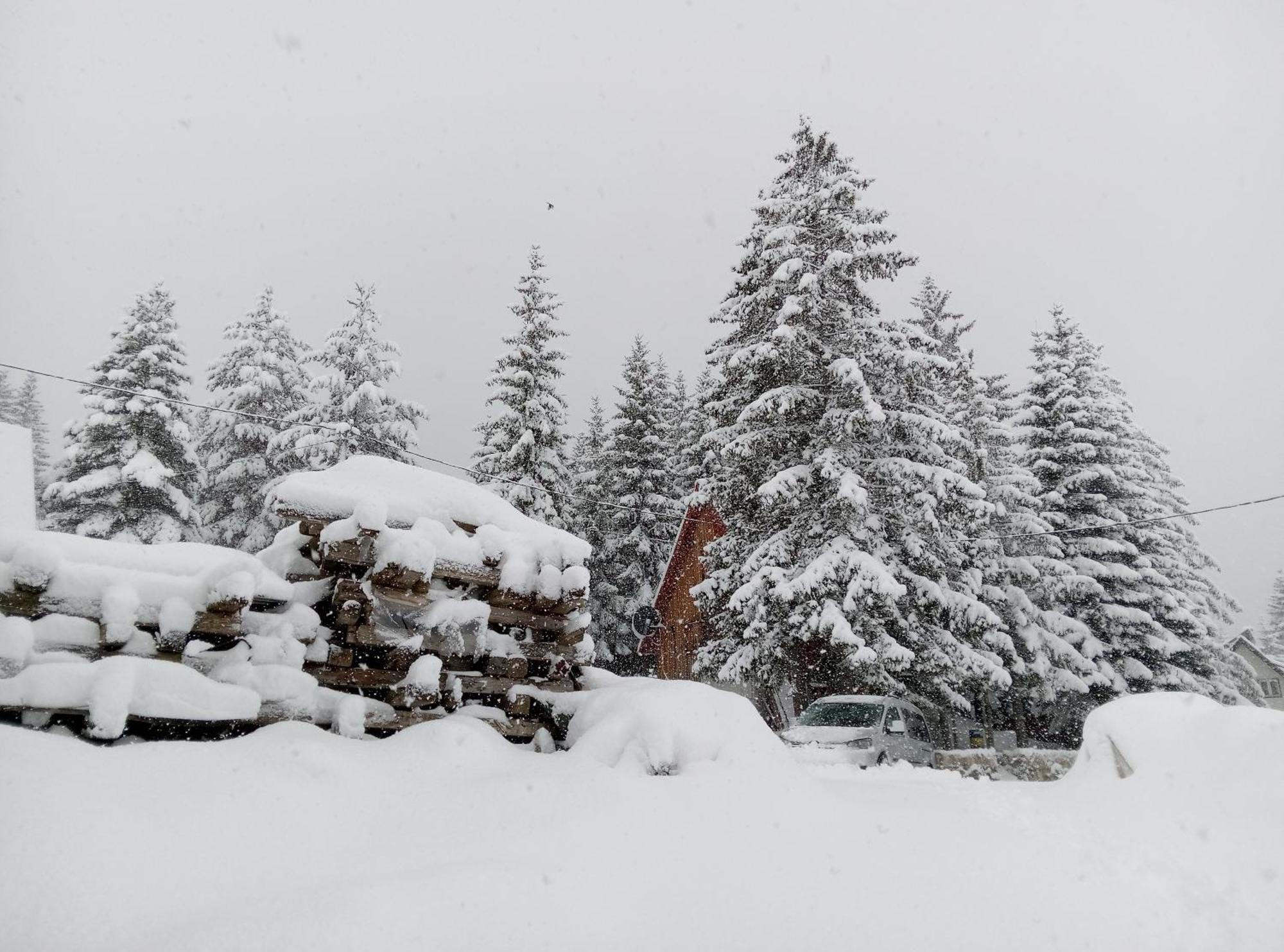 Apartmán Durmitor Žabljak Exteriér fotografie